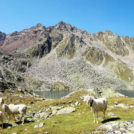 Wildmoos-2 By Interhome Апартаменты *