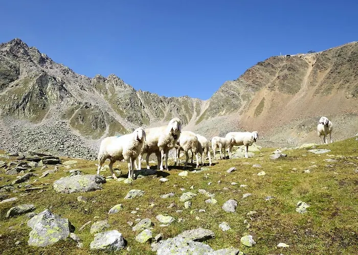 Appartement Wildmoos-2 By Interhome Sölden