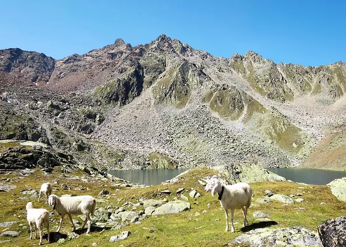 Wildmoos-2 By Interhome Apartment *